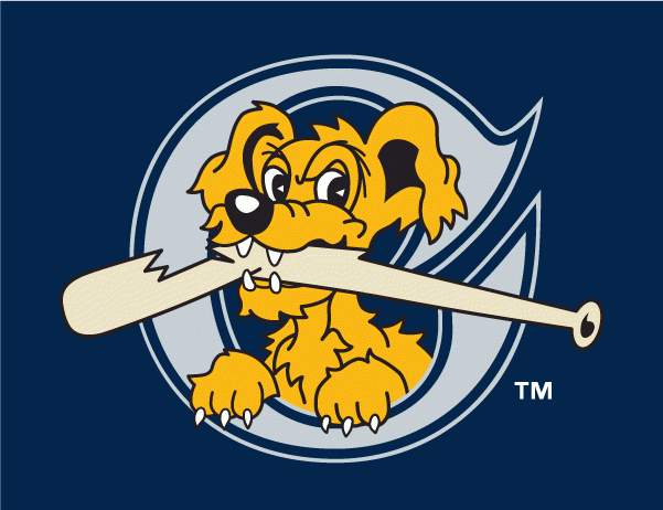 Charleston Riverdogs 2011-2015 Cap Logo iron on paper